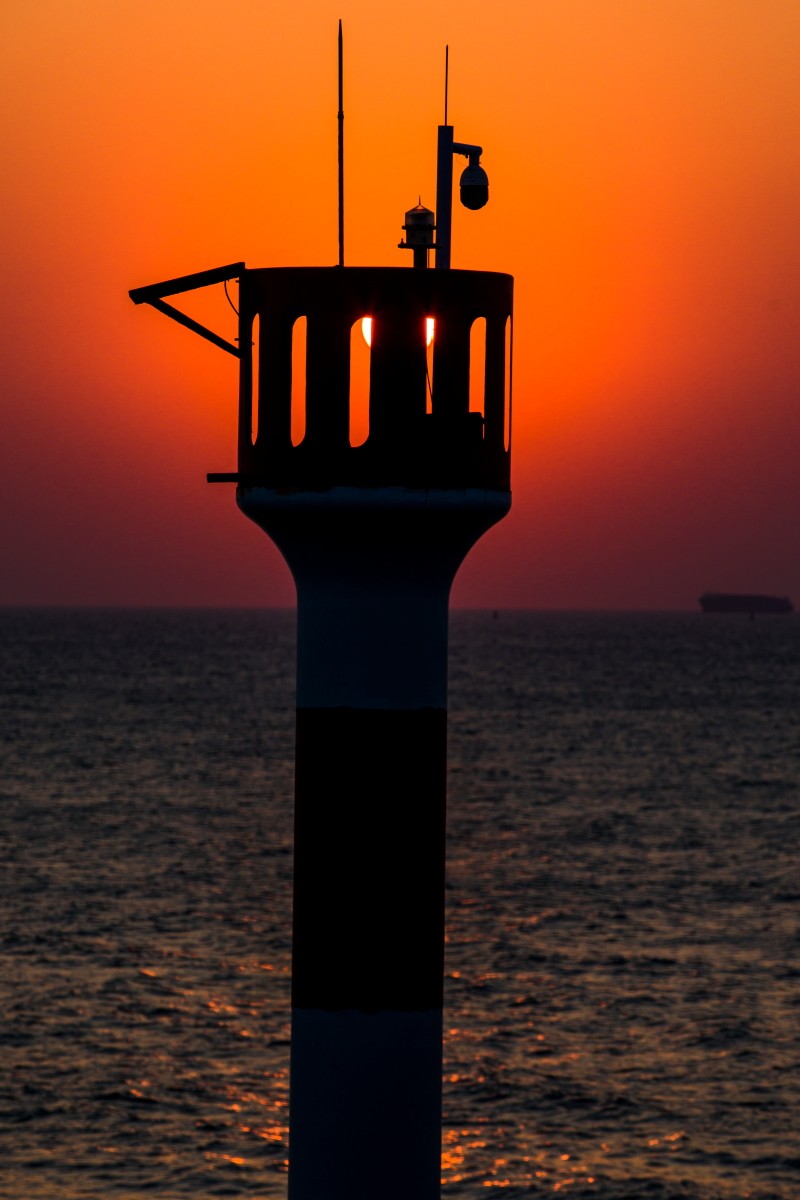 外出随拍（续398）.