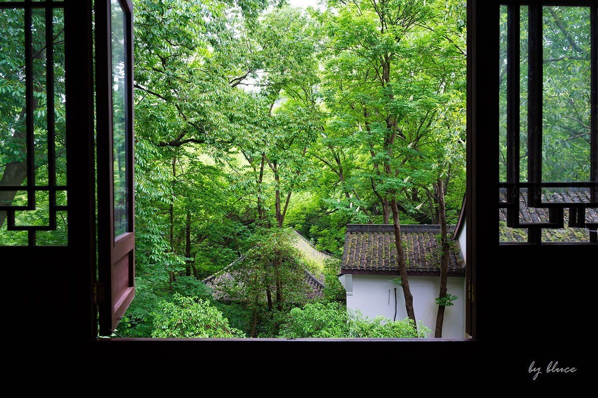 虎跑随拍（中）