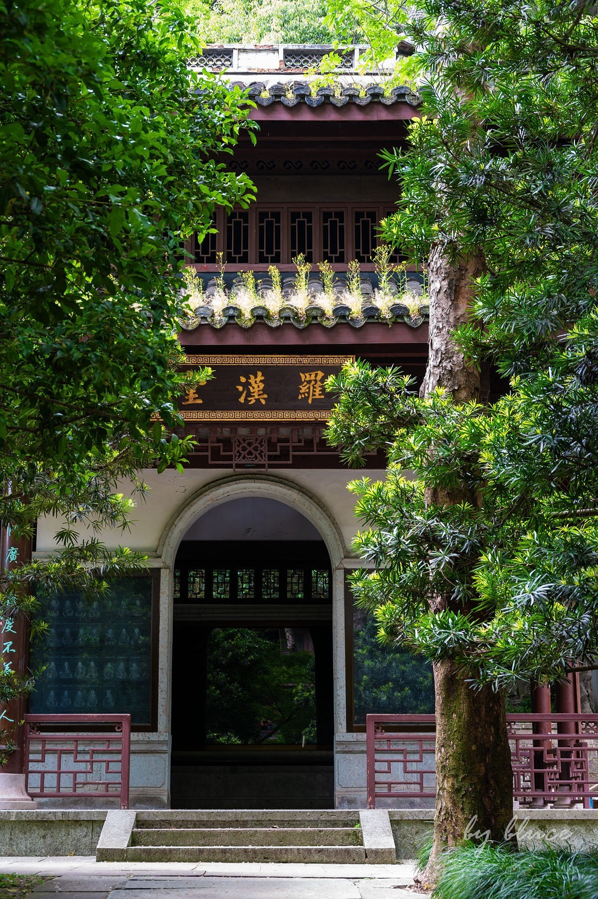 虎跑随拍（中）