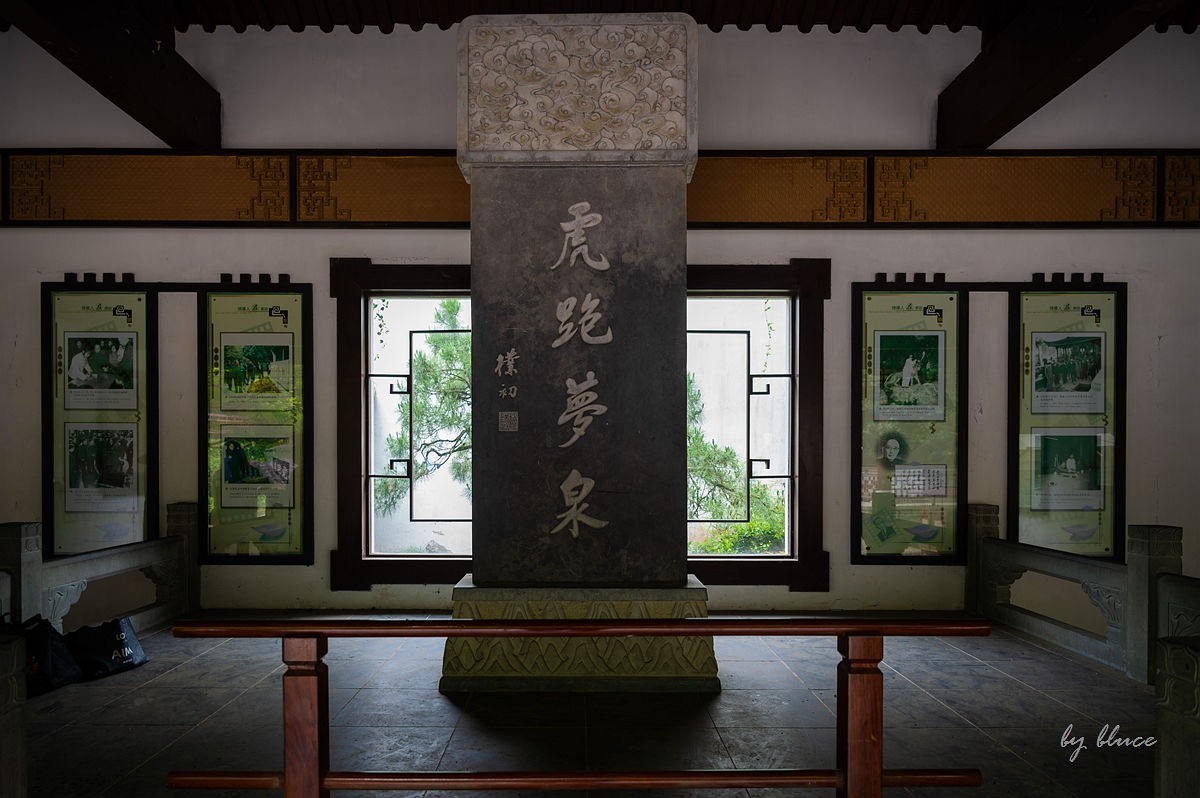 虎跑随拍（中）