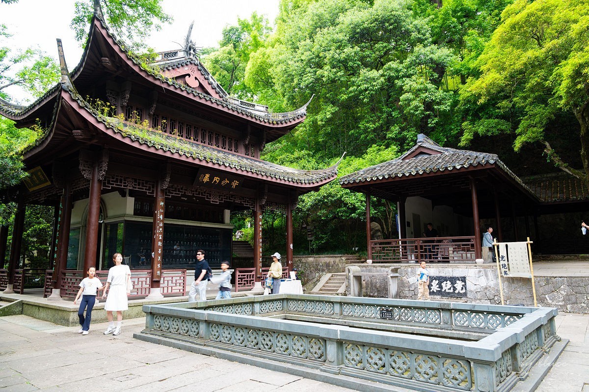 虎跑随拍（中）