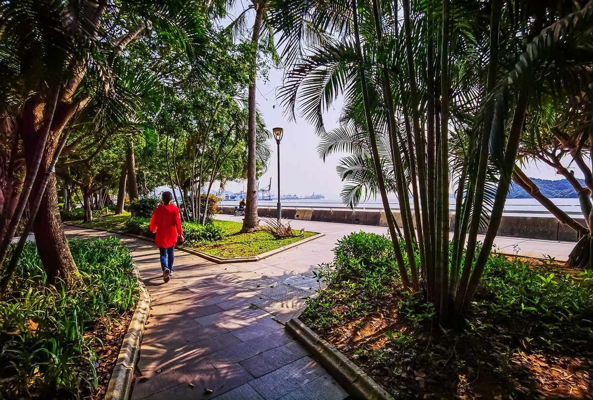 #随诗而行   海滨栈道