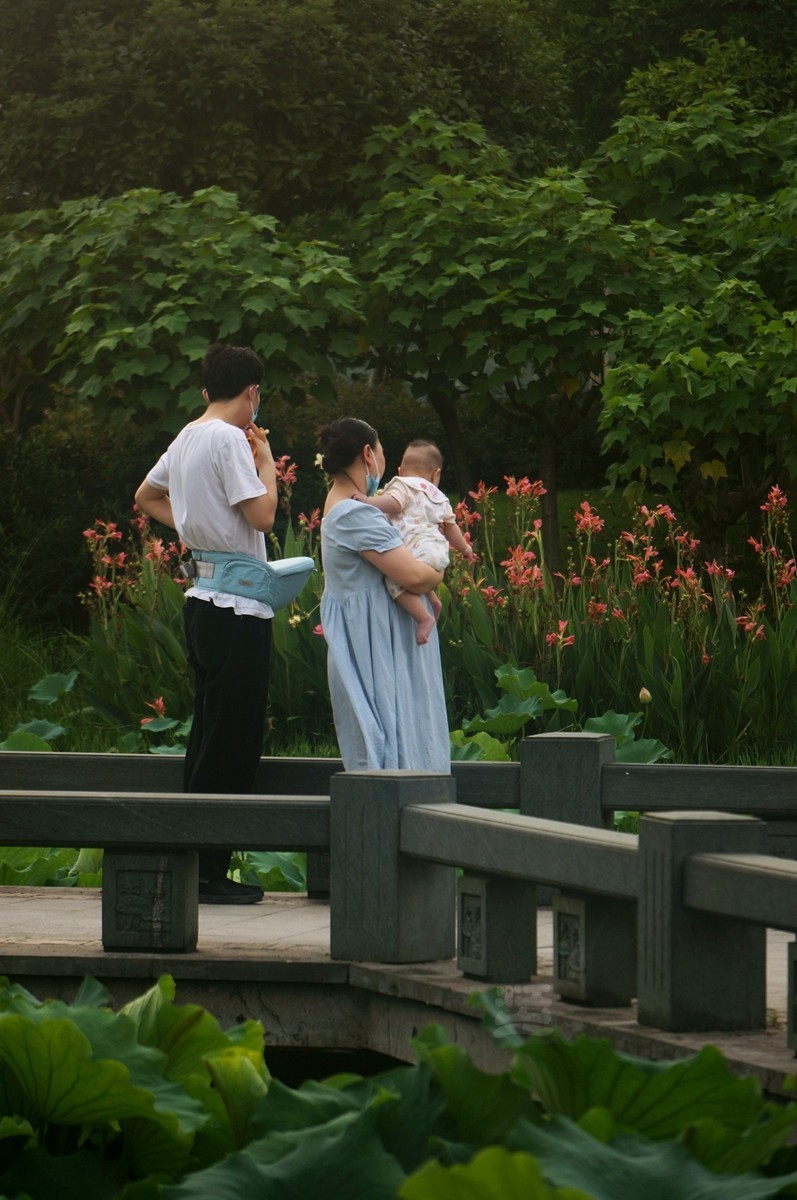 沙湖*荷旁疏影任我知——武汉随笔