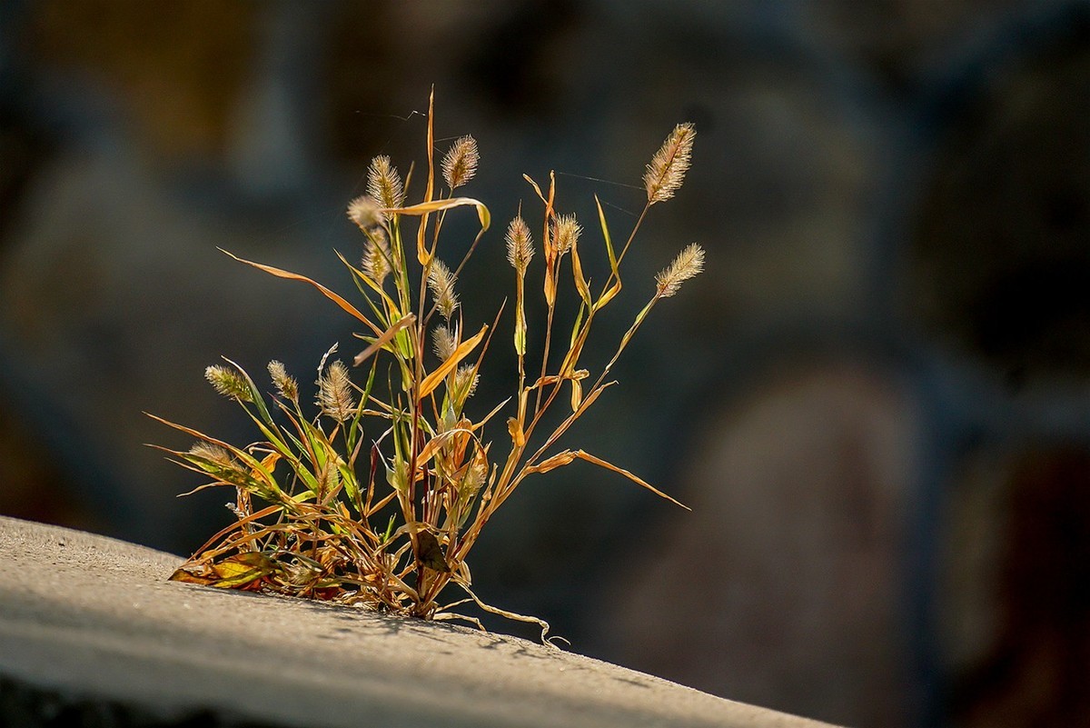 新品腾龙镜头18300圆明园试拍