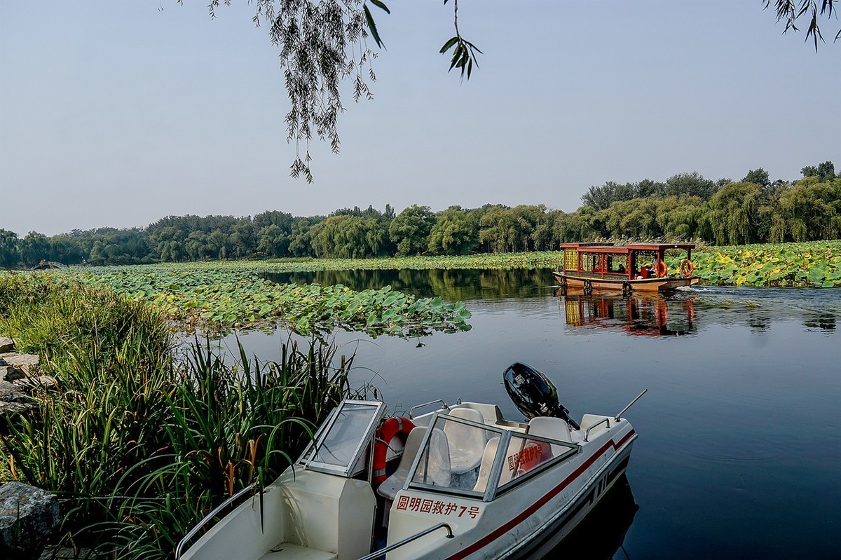 新品腾龙镜头18300圆明园试拍