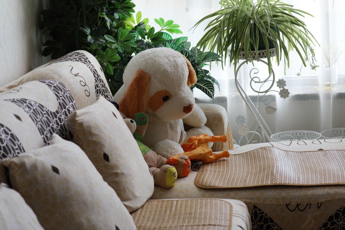 换个镜头拍家中摆设