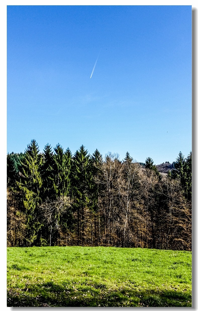 春之冬色黑森林