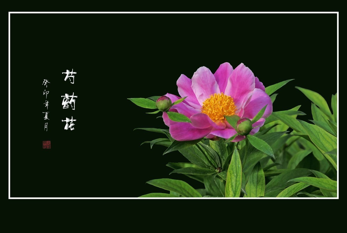 #版主坐堂# 尼康D5100星空(中国)2023年八月份优秀作品精选汇总