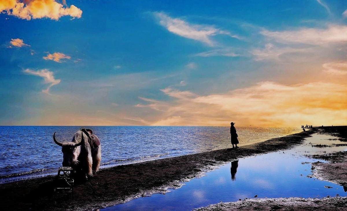 #版主坐堂# 尼康D5100星空(中国)2023年八月份优秀作品精选汇总