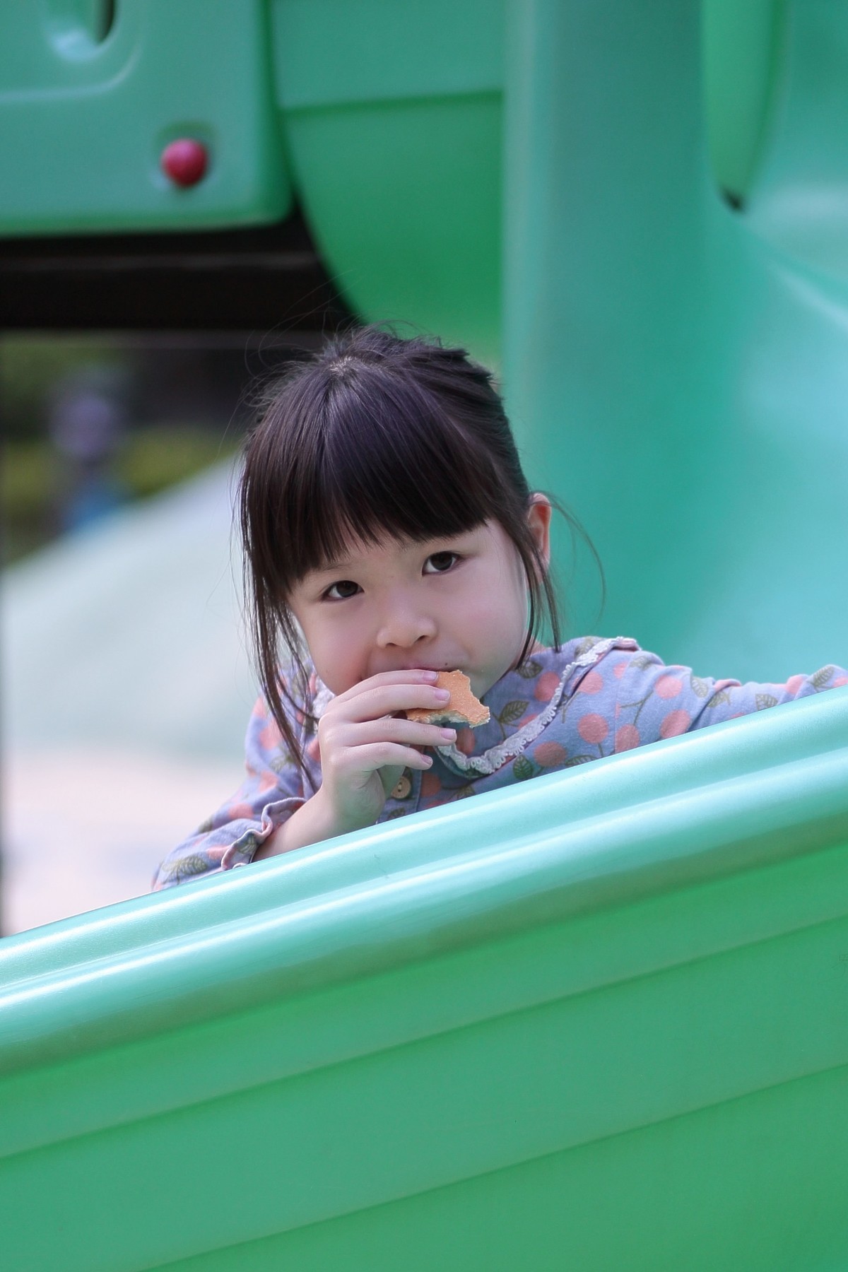 #版主坐堂# 尼康D5100星空(中国)2023年八月份优秀作品精选汇总