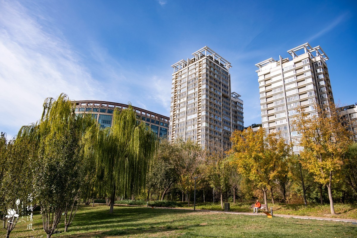 11月的北京市区街景。