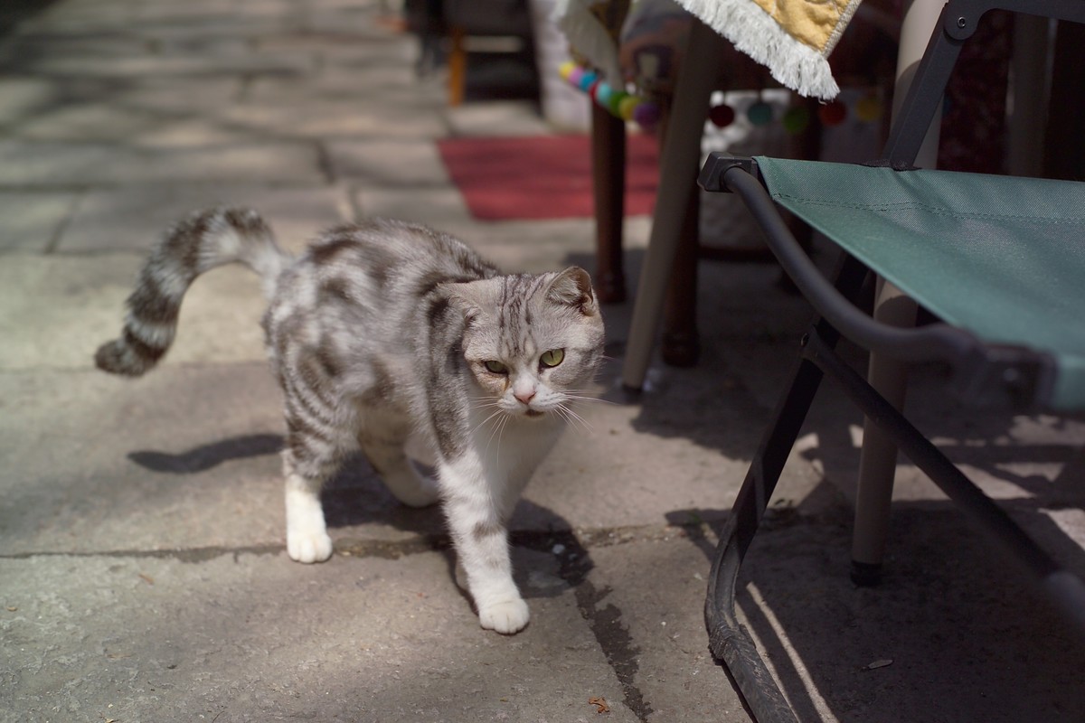 杭州小河直街随拍