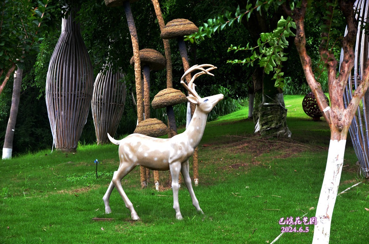 巴滨花艺园 (六)