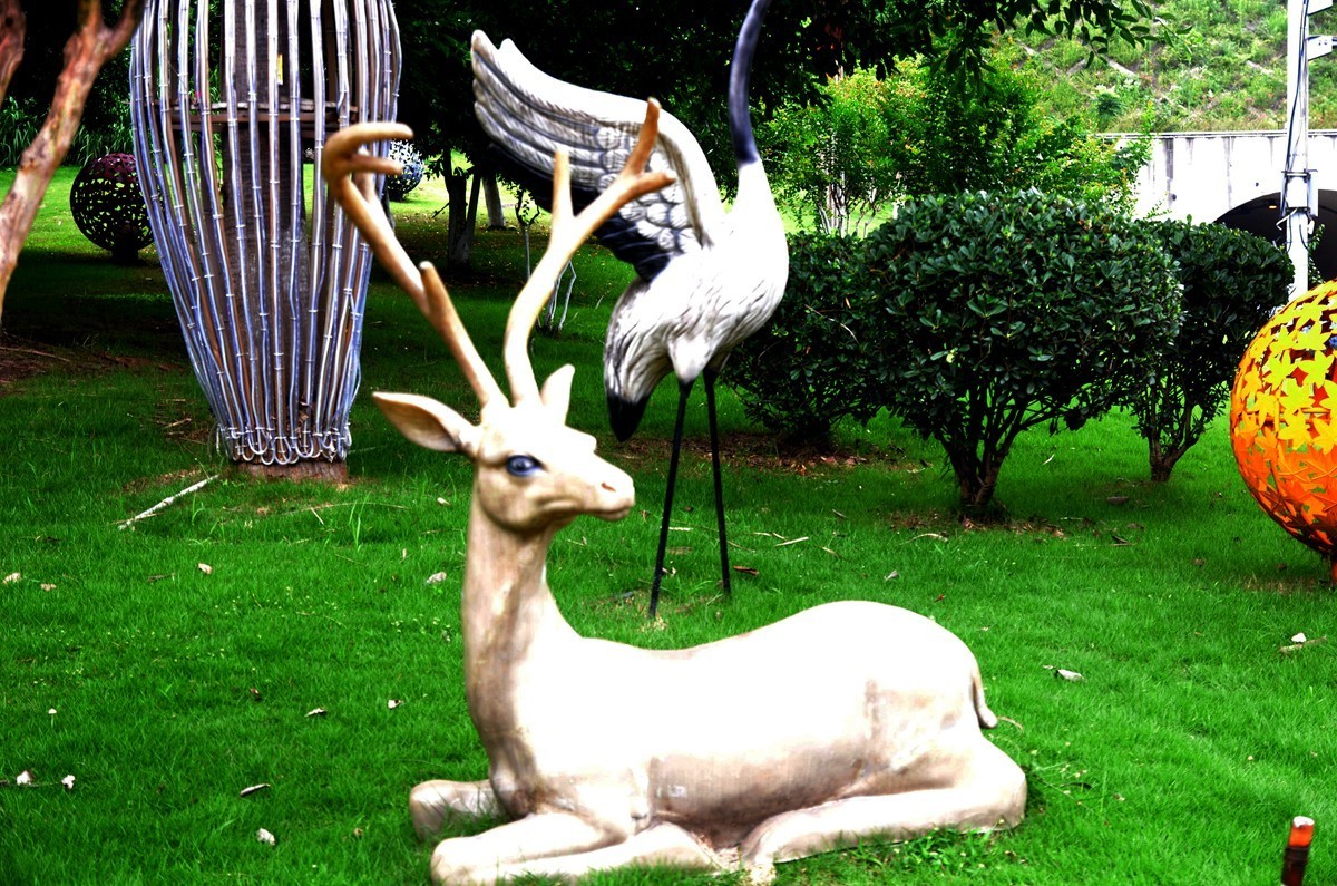 巴滨花艺园 (六)