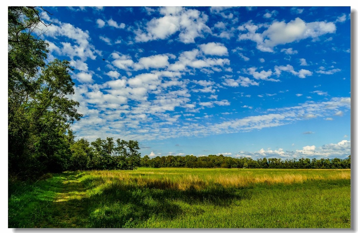 自（行车）驾游拍（南德莱茵平原）