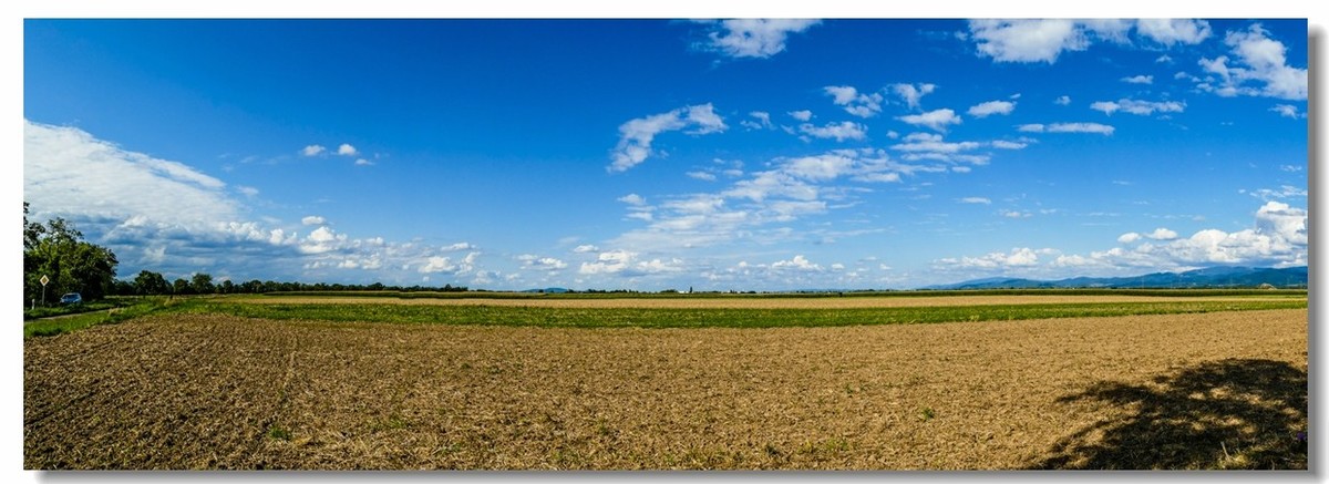 自（行车）驾游拍（南德莱茵平原）