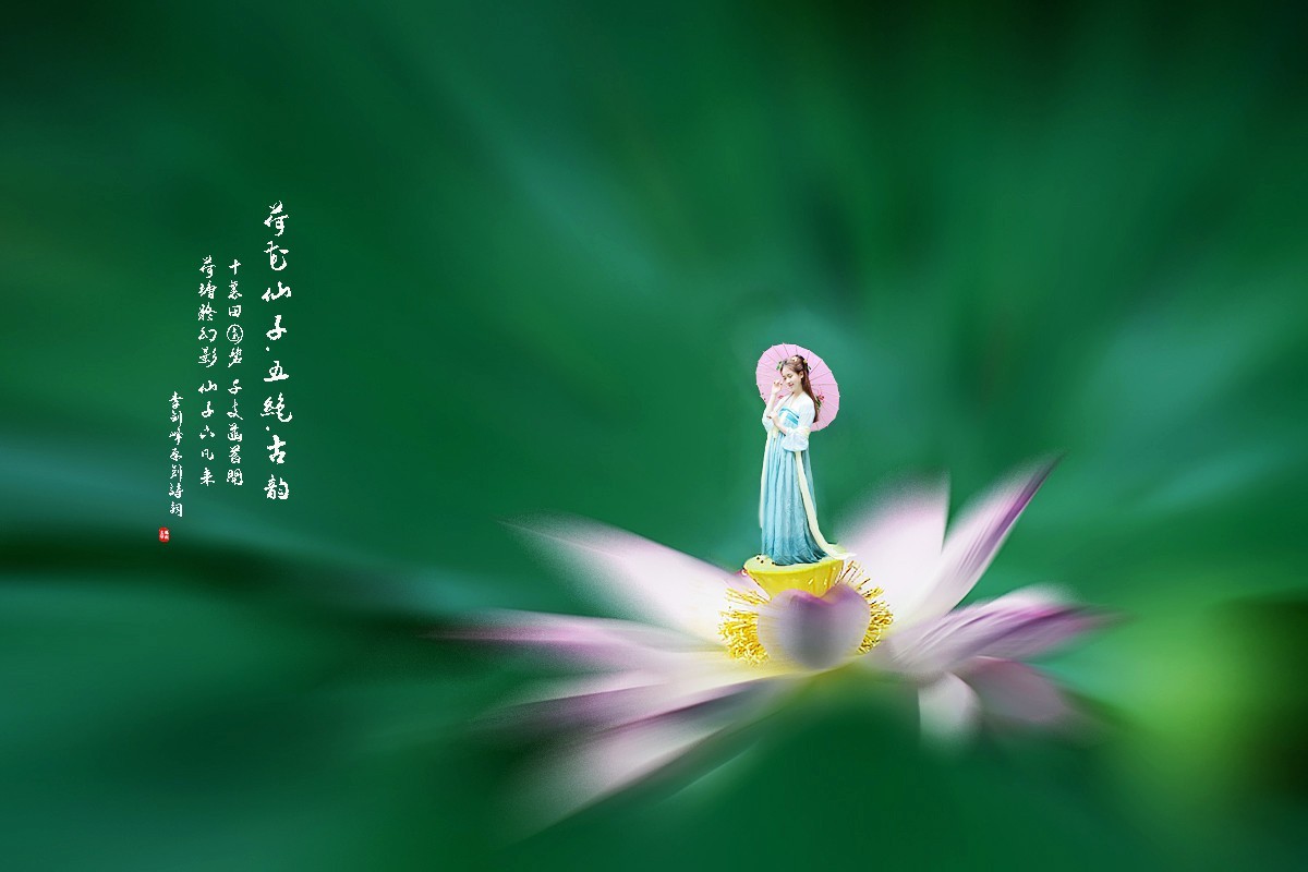 【荷趣】