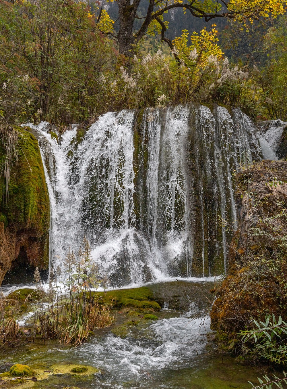 1107游山玩水随拍(九寨沟风景)