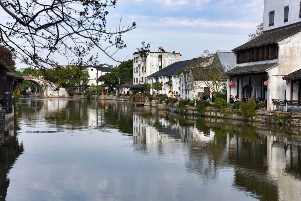 白墙黛瓦树临窗