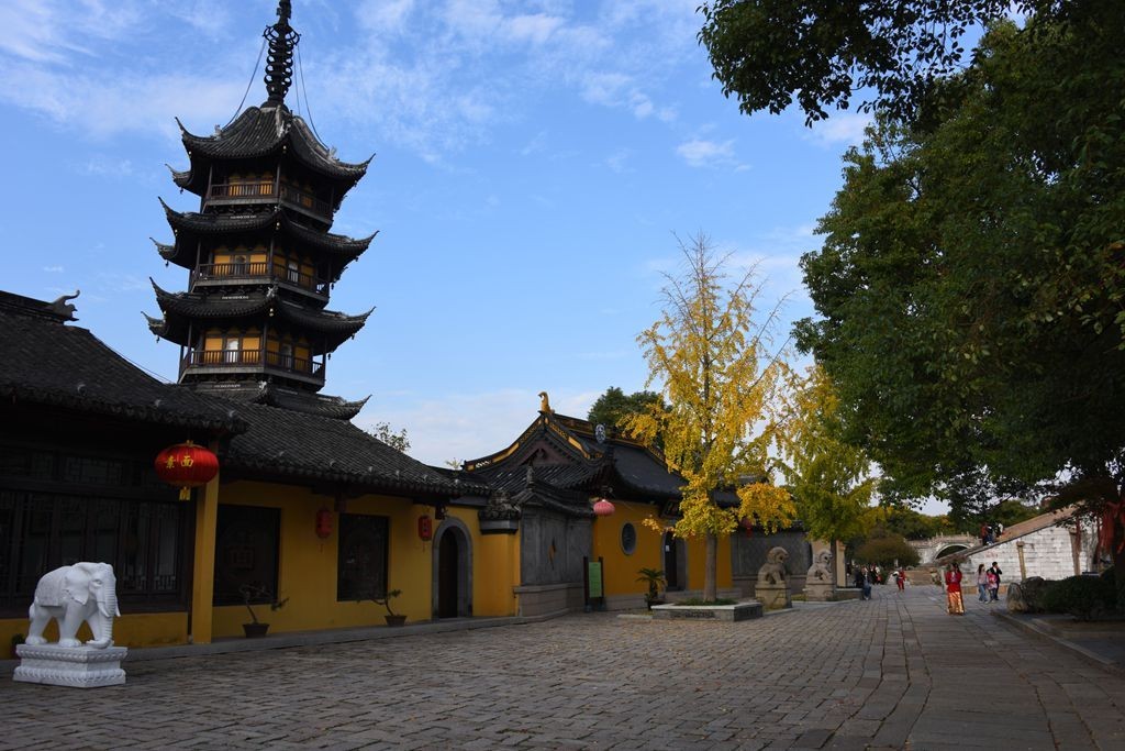 白墙黛瓦树临窗