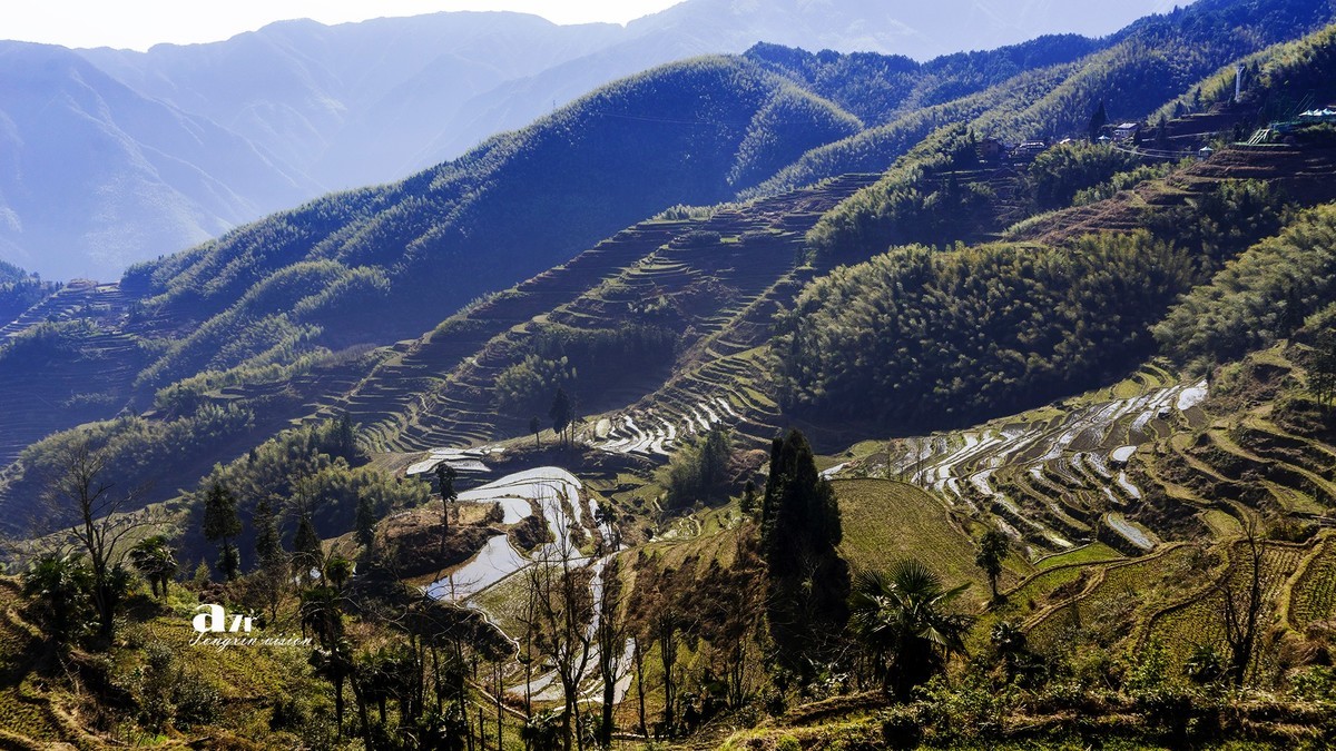 三月下江南——云和梯田（18）