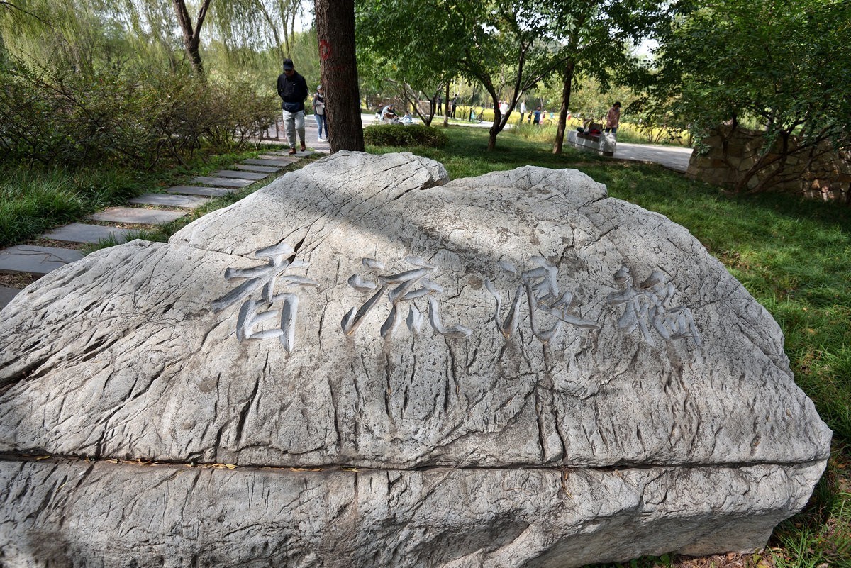 满园京西稻米飘香，远比各种花海强许多------北坞公园3/3