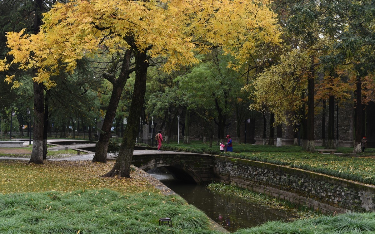 秋季应景要做的功课