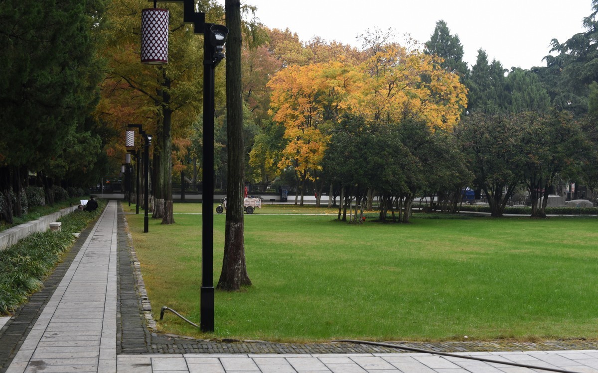 秋季应景要做的功课