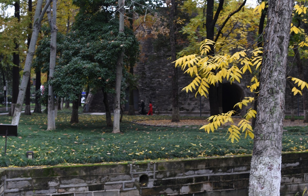 秋季应景要做的功课