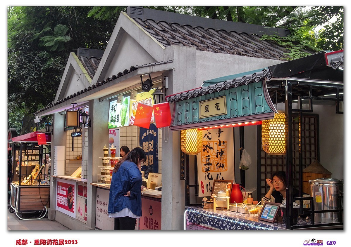 2023成都菊花展掠影(B)(内有美女哦)