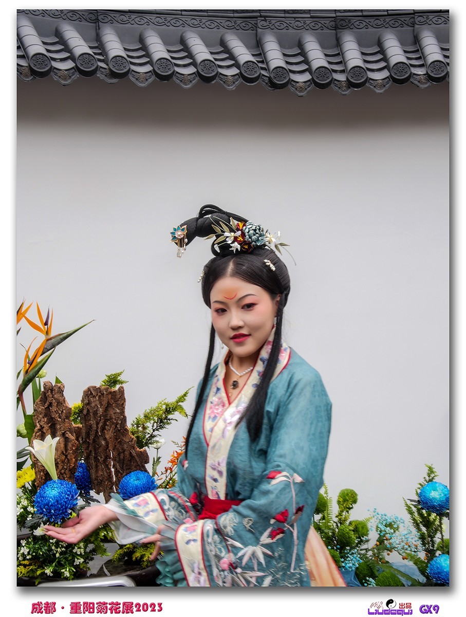 2023成都菊花展掠影(B)(内有美女哦)
