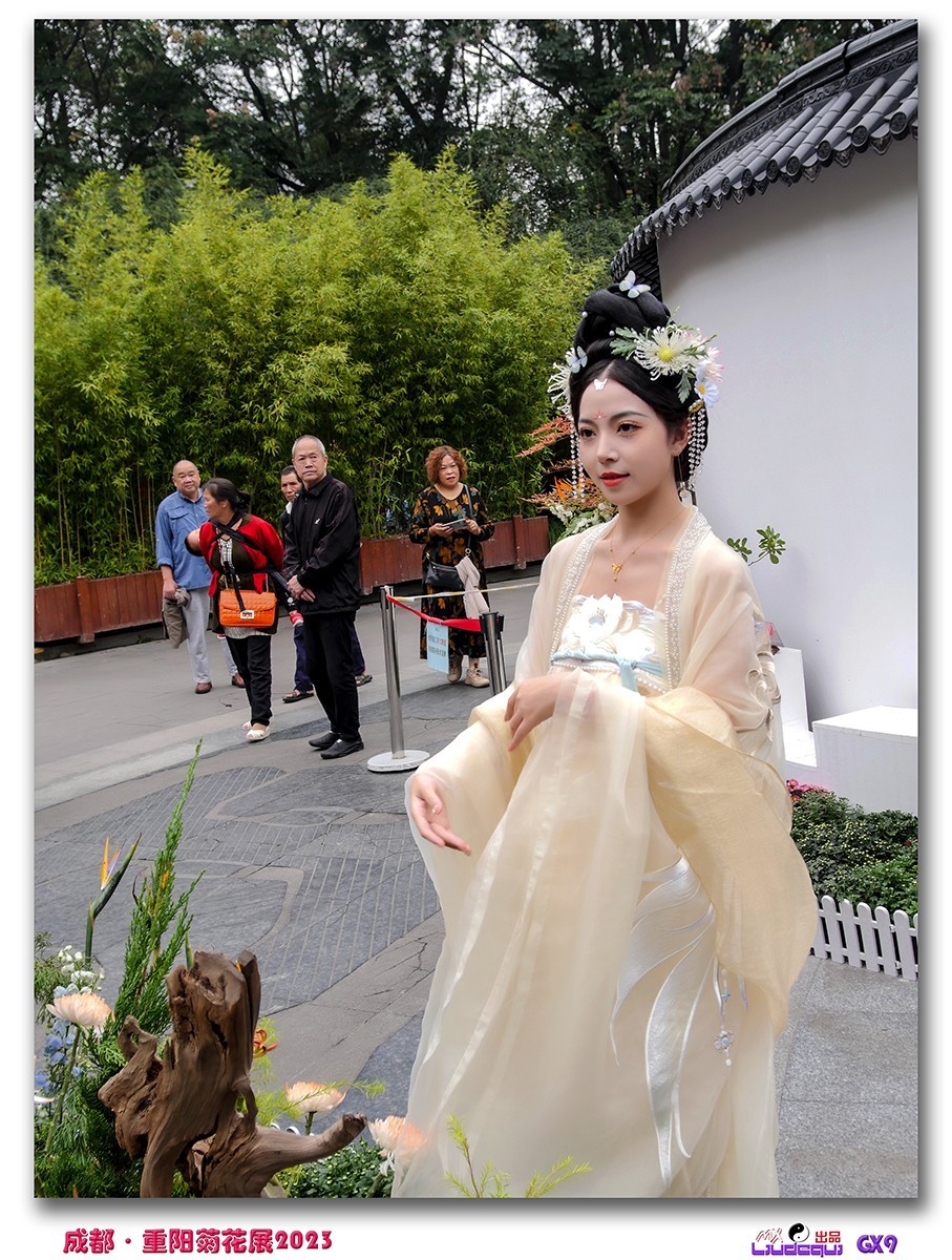 2023成都菊花展掠影(B)(内有美女哦)