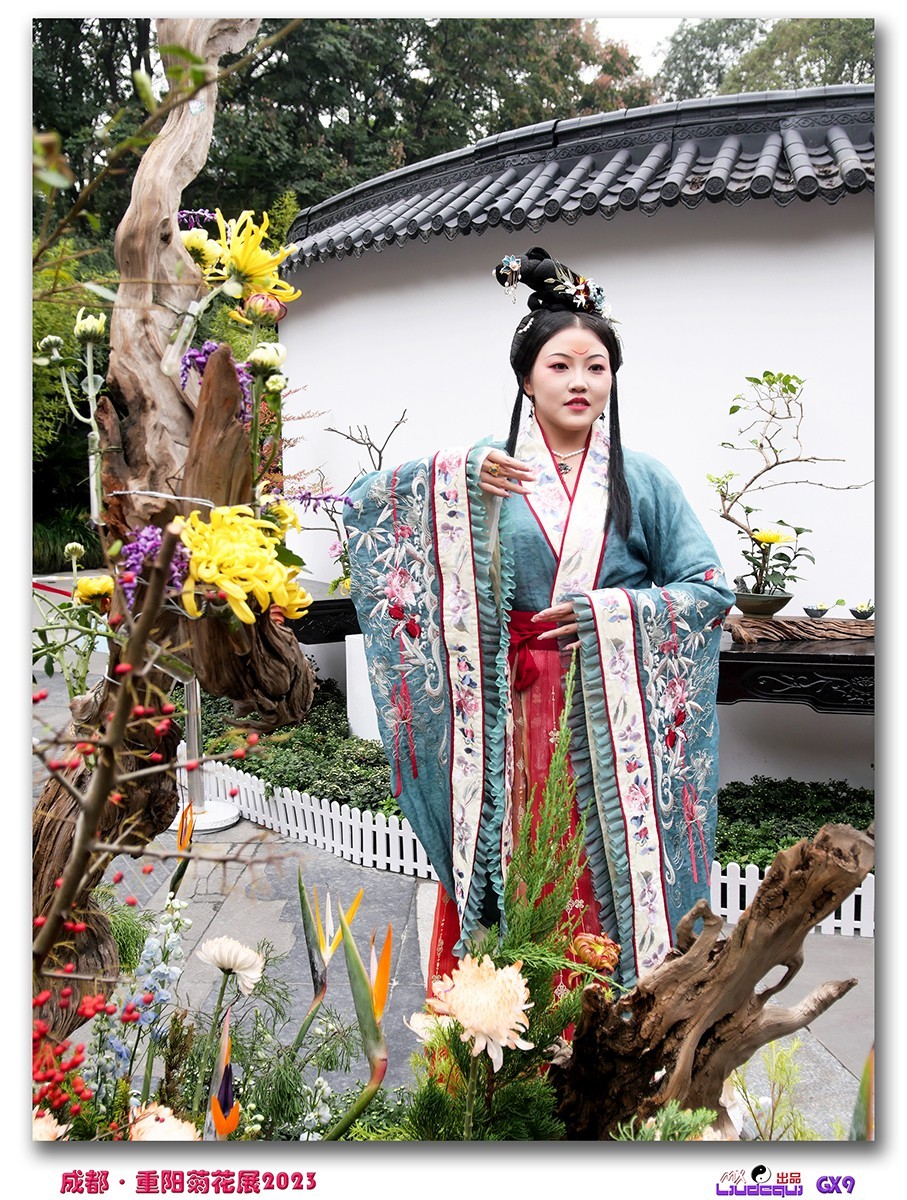 2023成都菊花展掠影(B)(内有美女哦)