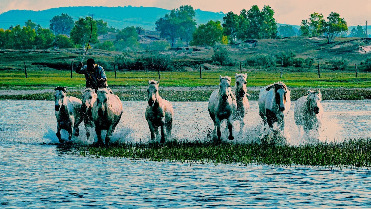 坝上草原飞马踏浪