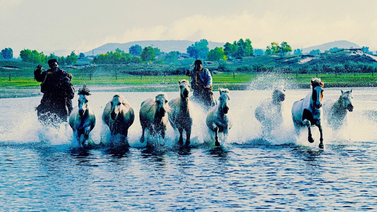 坝上草原飞马踏浪