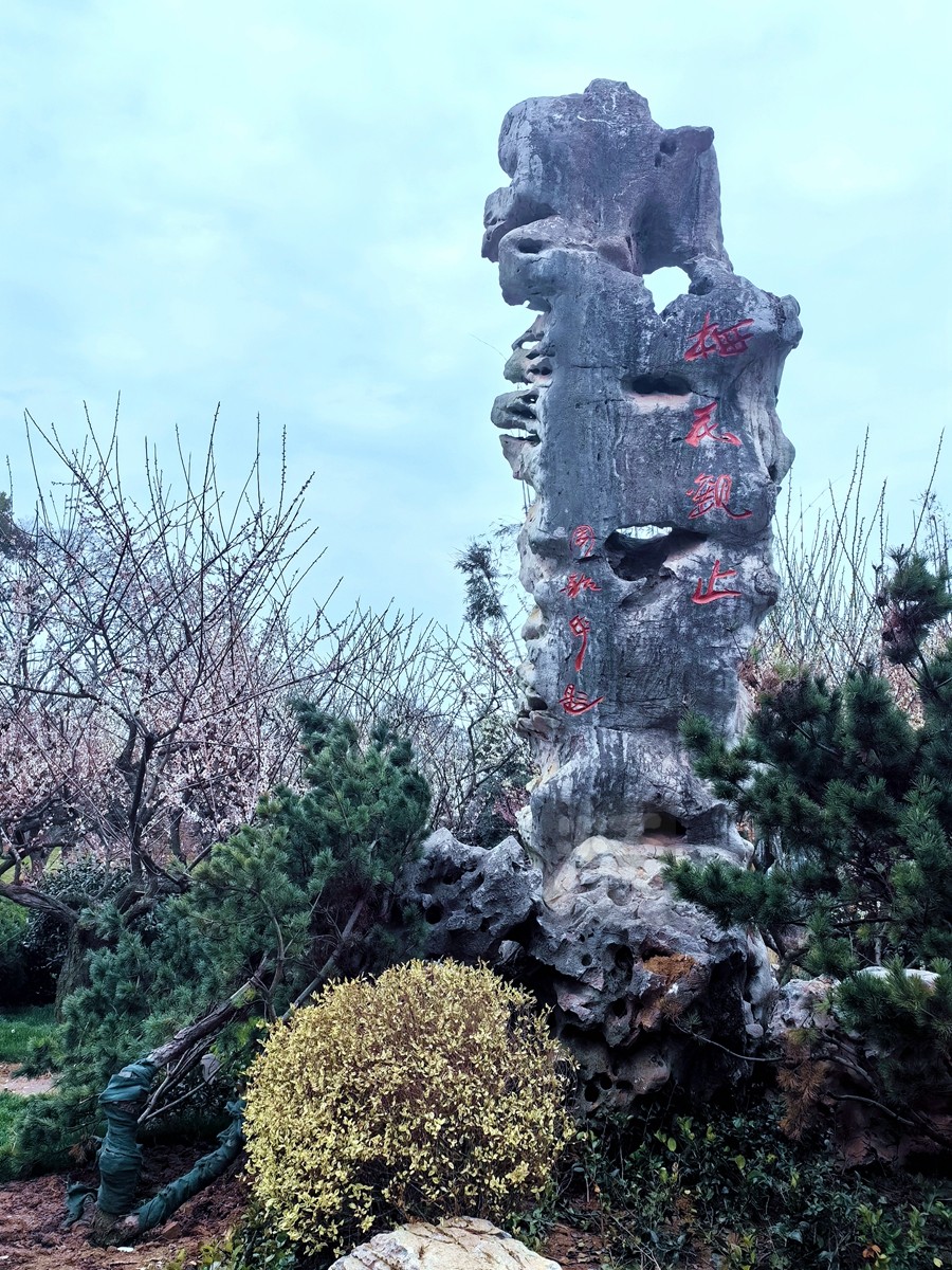 梅园清韵——武汉随笔