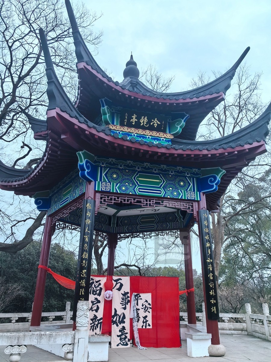 暗香冷艳*梅园——武汉随笔