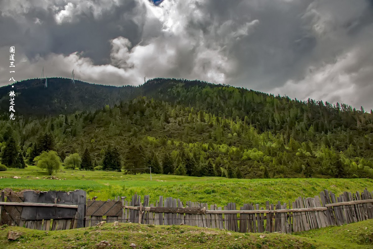国道三一八 · 林芝风光（3）
