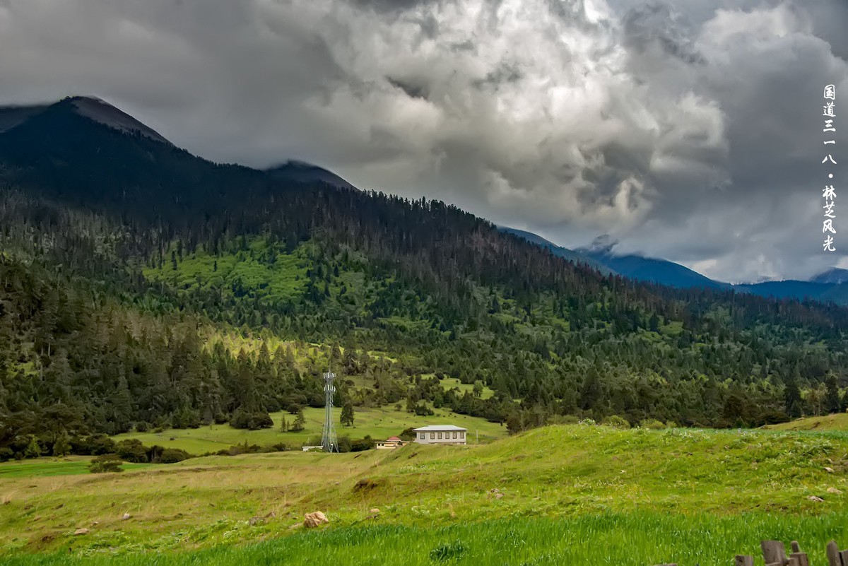 国道三一八 · 林芝风光（3）