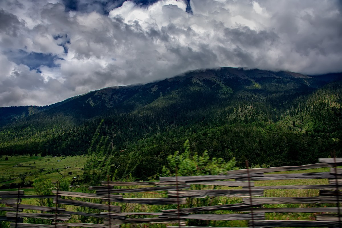 国道三一八 · 林芝风光（3）