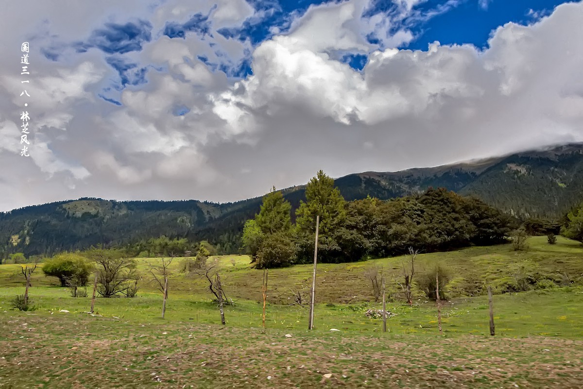 国道三一八 · 林芝风光（3）