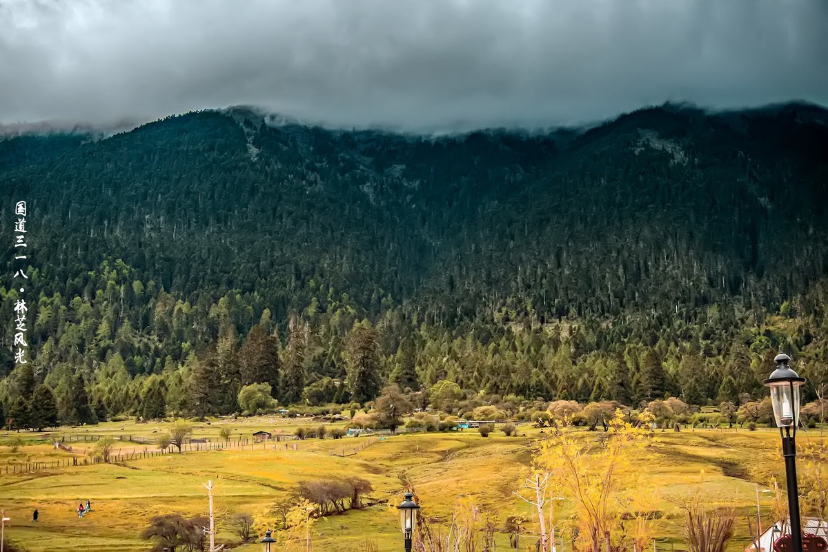 国道三一八 · 林芝风光（3）
