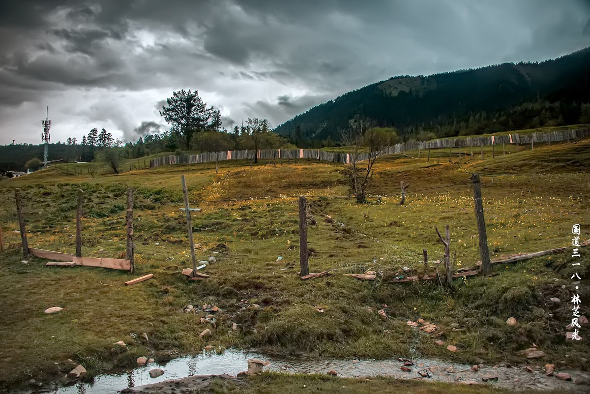 国道三一八 · 林芝风光（3）