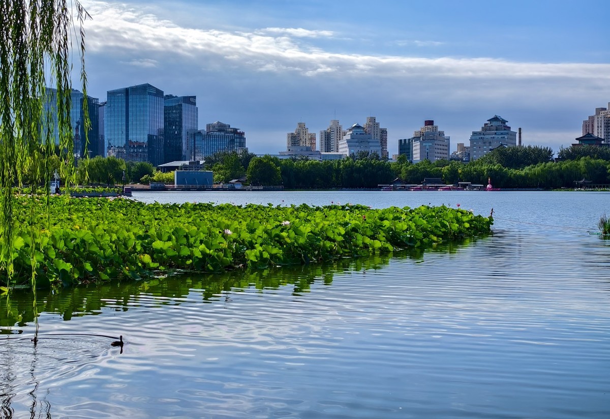莲花池公园（3）--销假帖