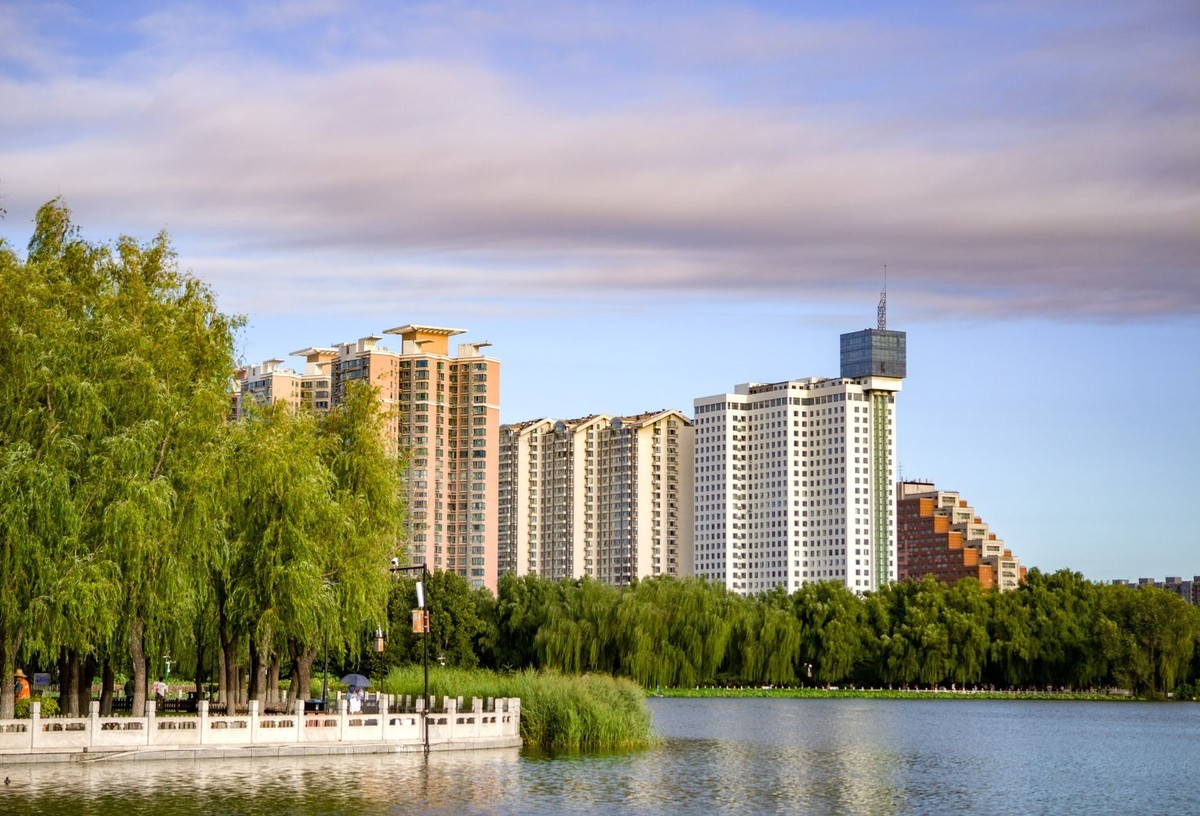 莲花池公园（3）--销假帖