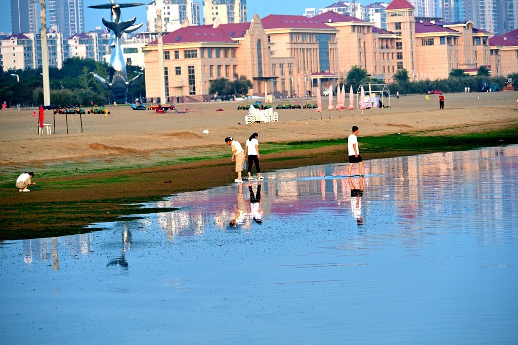 烟台黄渤海新区金沙滩随拍
