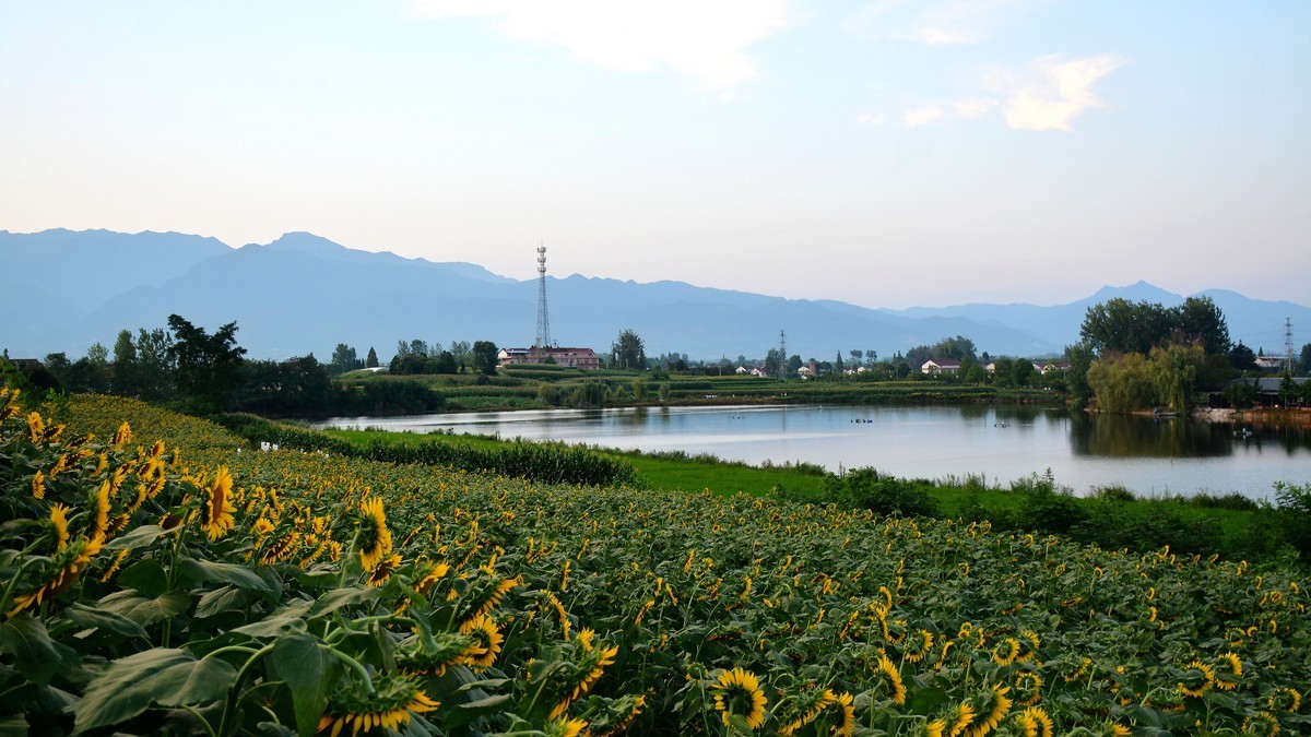 夕阳下的皇塘（2024220）