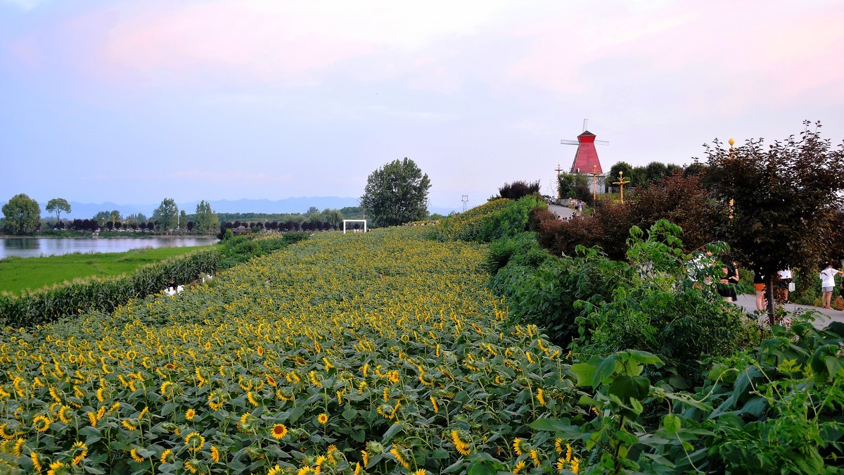 夕阳下的皇塘（2024220）