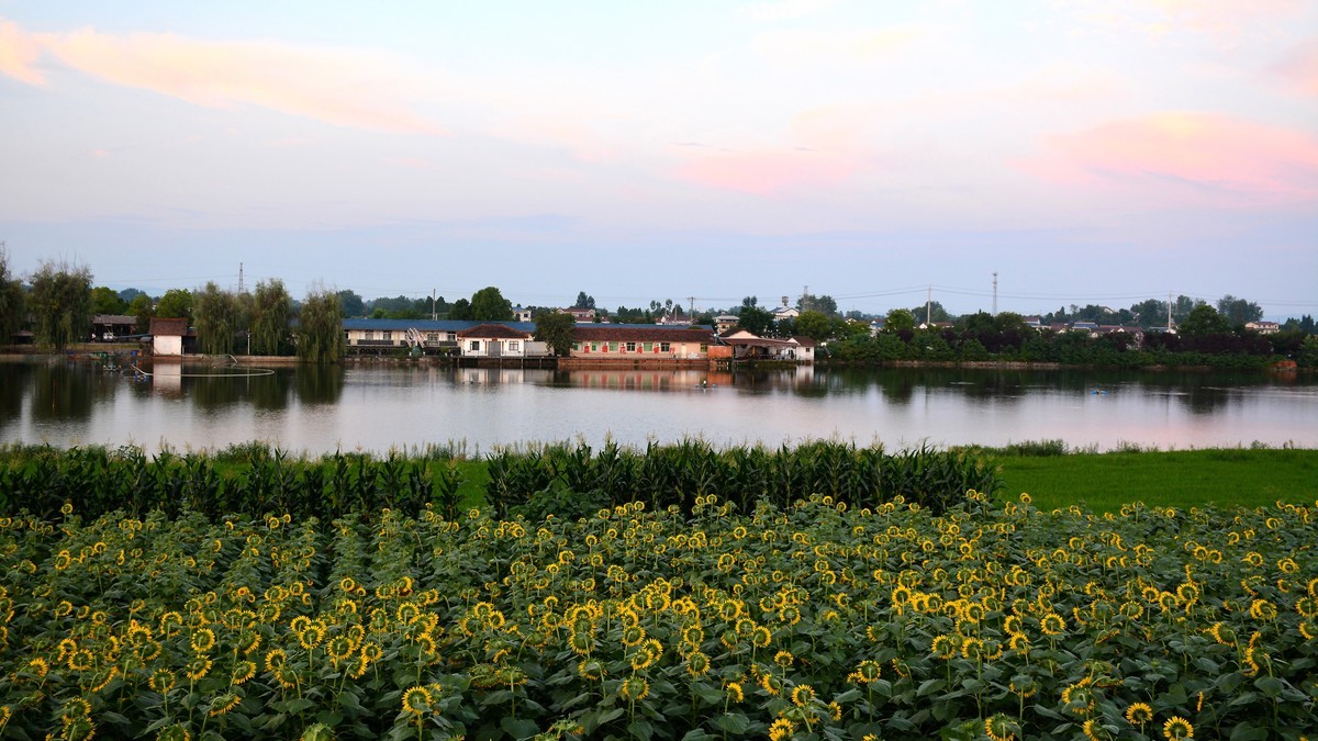 夕阳下的皇塘（2024220）