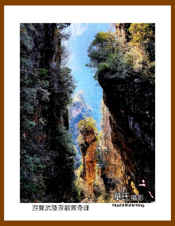 2021南行慢游（湖南180）—游览武陵源观赏奇峰之十三（张家界）